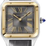 Cartier Santos-Dumont Watchlargesteel Yellow Gold Watch – W2SA0028