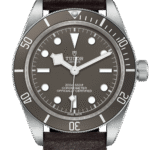 Tudor Black Bay Fifty-Eight 925 Ref – M79010SG-0001