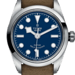 Tudor Black Bay 32 Ref – M79580-0004