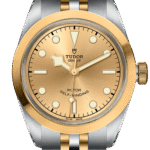 Tudor Black Bay 32 S&G Ref – M79583-0002