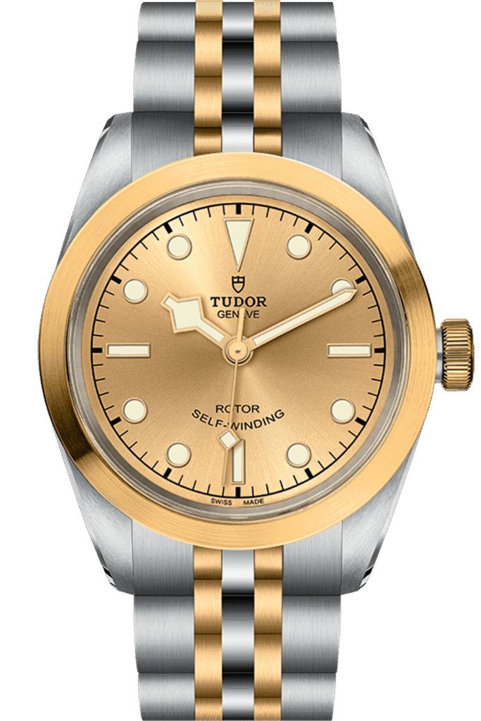 Tudor Black Bay 32 S&G Ref – M79583-0002
