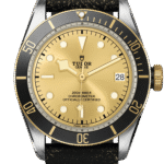Tudor Black Bay S&G Ref – M79733N-0003