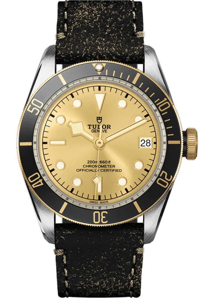 Tudor Black Bay S&G Ref – M79733N-0003