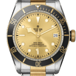 Tudor Black Bay S&G Ref – M79733N-0004