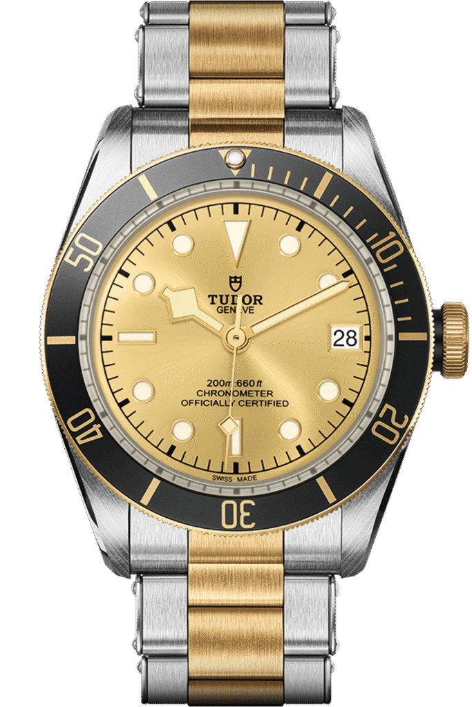 Tudor Black Bay S&G Ref – M79733N-0004