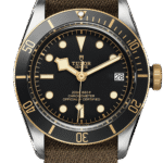Tudor Black Bay S&G Ref – M79733N-0005