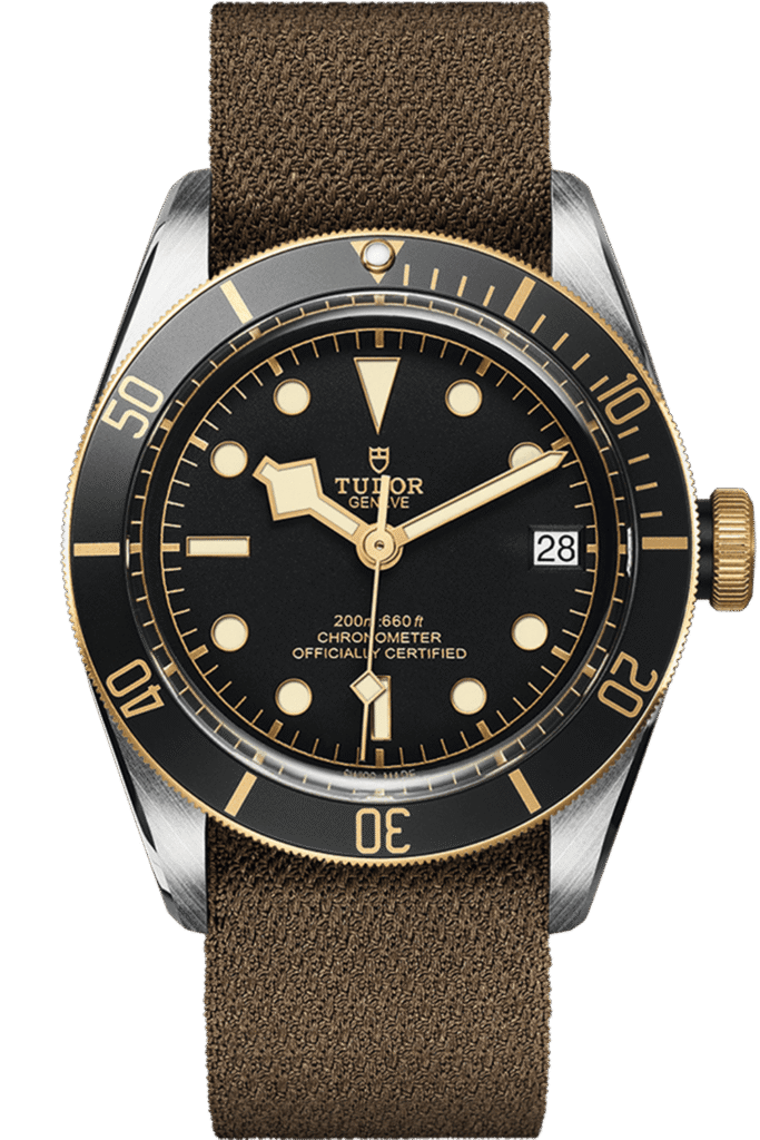 Tudor Black Bay S&G Ref – M79733N-0005