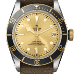 Tudor Black Bay S&G Ref – M79733N-0006
