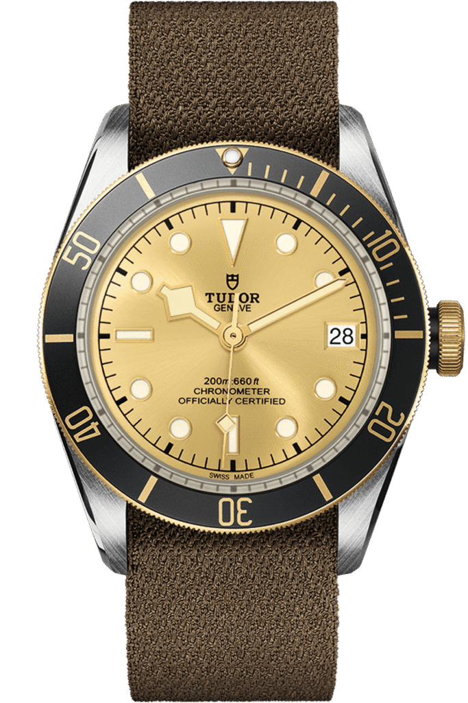 Tudor Black Bay S&G Ref – M79733N-0006