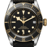 Tudor Black Bay S&G Ref – M79733N-0007