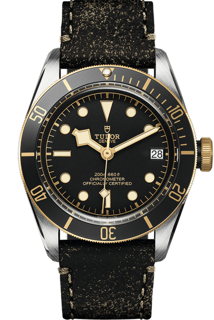 Tudor Black Bay S&G Ref – M79733N-0007