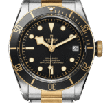 Tudor Black Bay S&G Ref – M79733N-0008