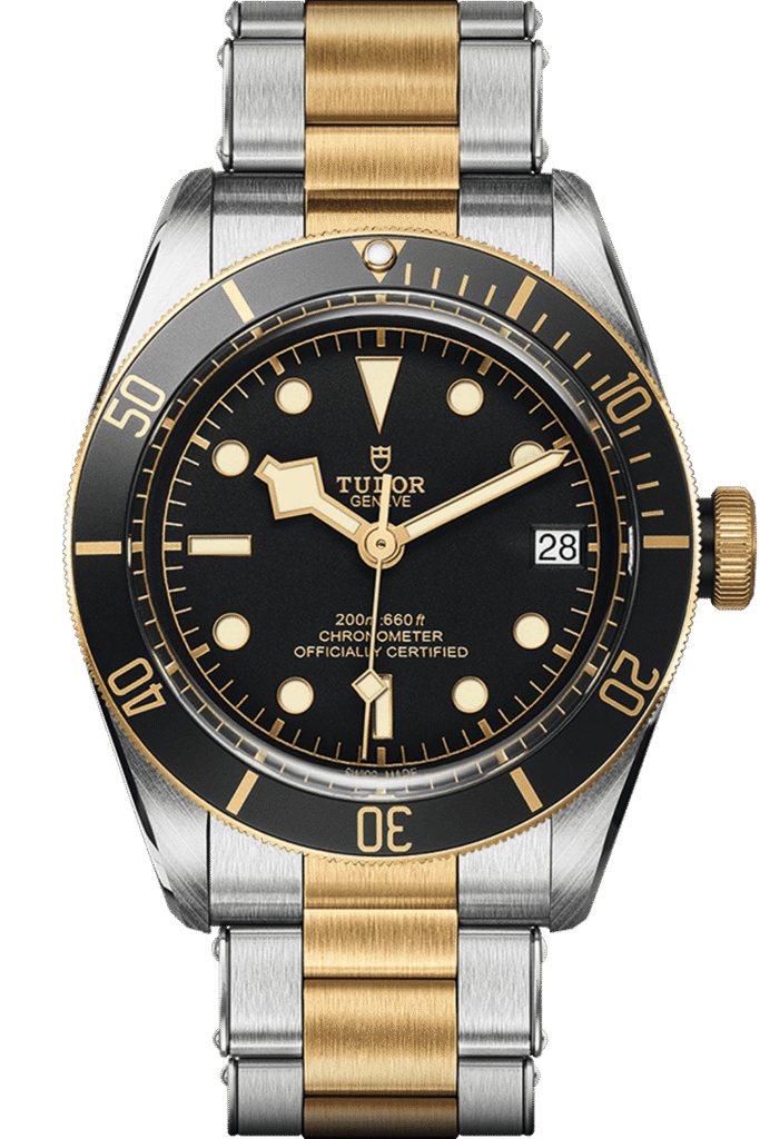 Tudor Black Bay S&G Ref – M79733N-0008